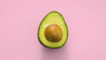 Avocado