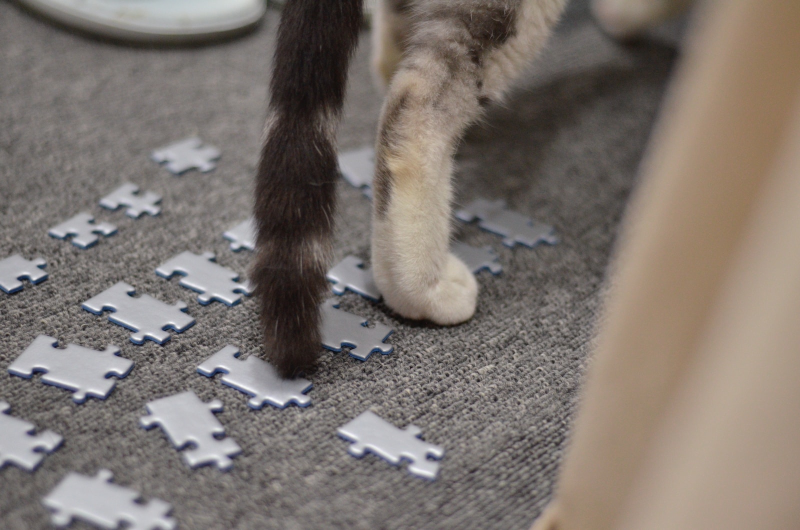 a cat standing on a pile of paper